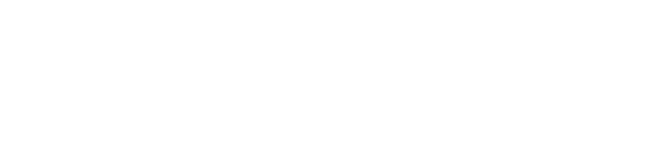 blueStone Solutions Group